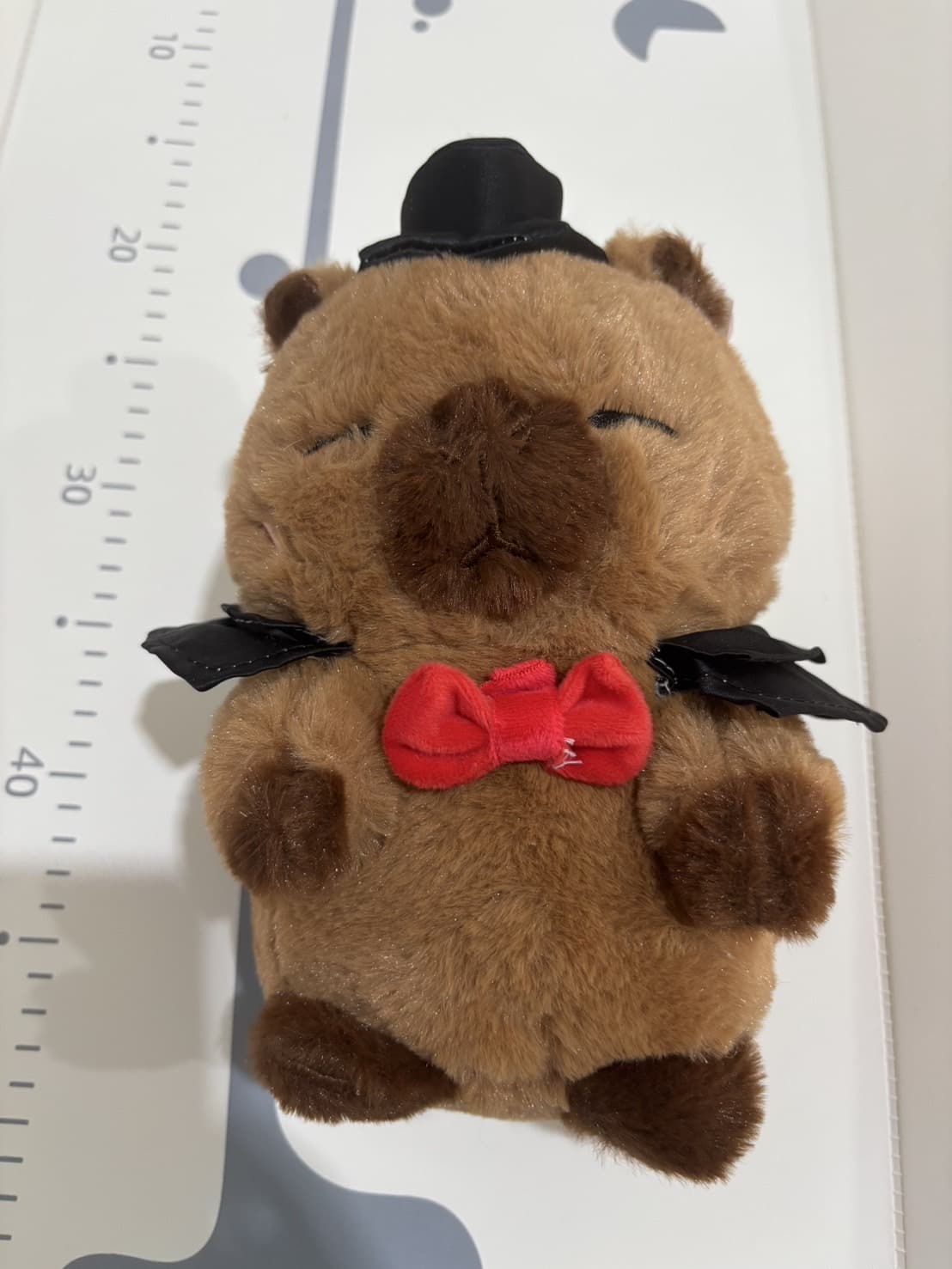 ตุ๊กตาหมีฮาโลวีน